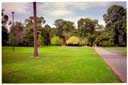フィッツロイガーデン / Fitzroy Gardens