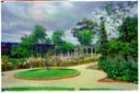 リッポンリー（ローズガーデン）/ Rippon Lea (Rose Gardens)