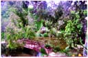 リッポンリー　/ Rippon Lea